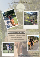 Balades avec les écuries de l'ADS