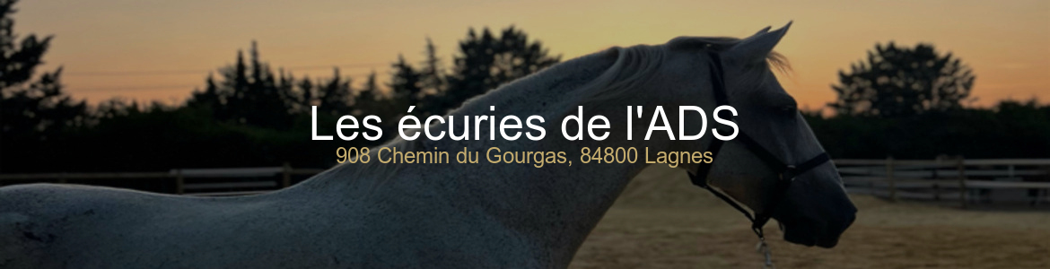 Les écuries de l'ADS